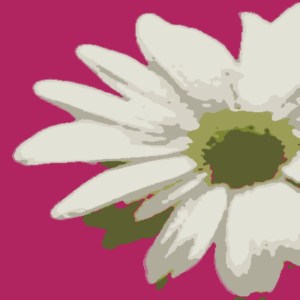 DGF cover medium - artsy flower