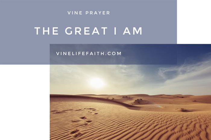 See the great I AM in the face of of the unknown