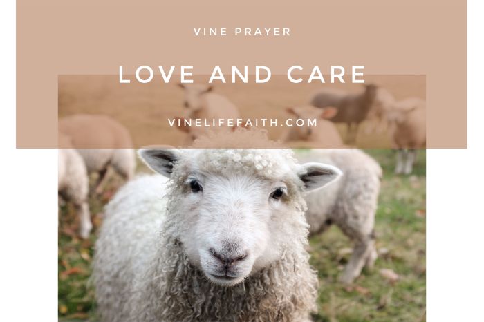 Pray God's Word to Meditate on Your Shepherd's Love and Care