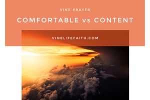 Comfortable vs Content