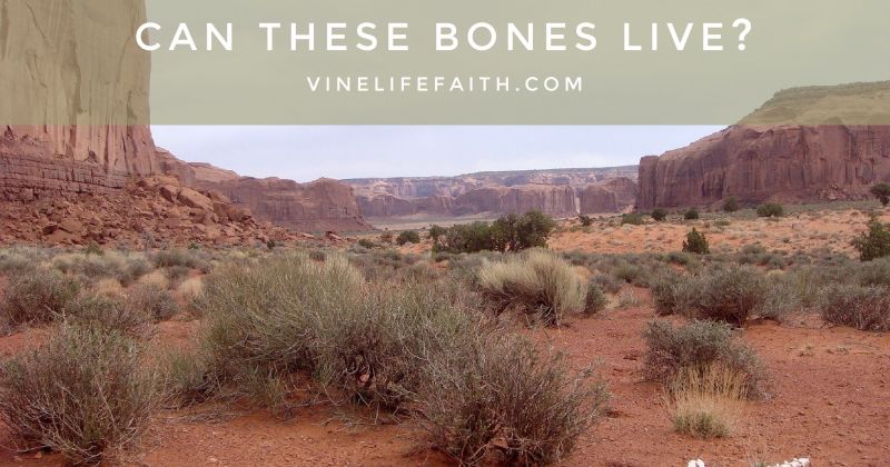 But how can these bones live?