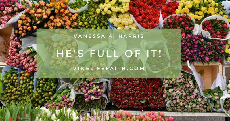 Vanessa A Harris, He's Full of It, vinelifefaith.com